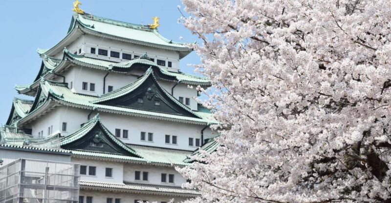 Nagoya: English-Guided Jogging Tour of the City (2 Hours) - Jogging Through Skyscrapers