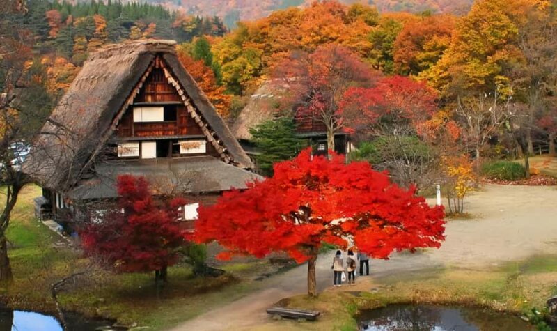 Nagoya Exclusive: Shirakawa-go Gassho Village &Takayama Tour - Who Will Love This Tour?