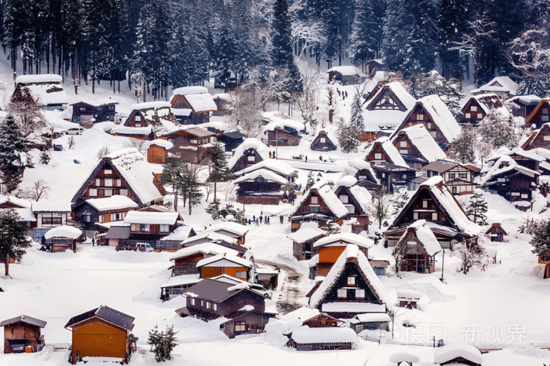 Nagoya: Hida Takayama and Gassho-zukuri Village Day Tour - Highlights