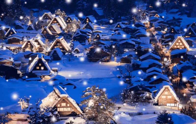 Nagoya: Hida Takayama and Shirakawa-go UNESCO Winter Trip - Dining and Local Cuisine