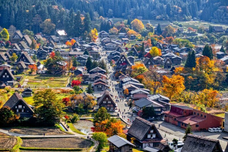 Nagoya: Hida Takayama & Shirakawa-go Tour w/Optional Lunch - Key Points