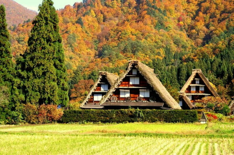 Nagoya: Hida Takayama & Shirakawa-go Tour w/Optional Lunch - Frequently Asked Questions