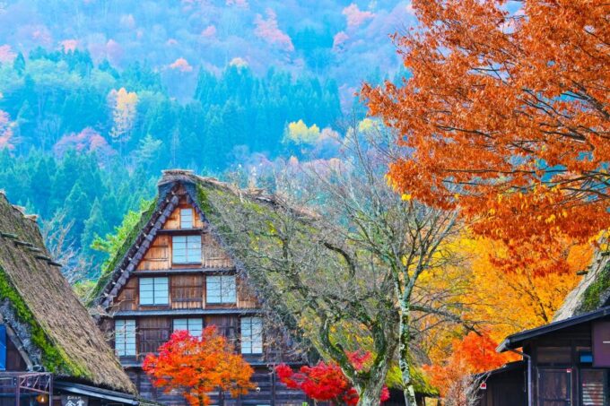 Nagoya: Hida Takayama & World Heritage Shirakawa-go Day Tour - Booking Requirements