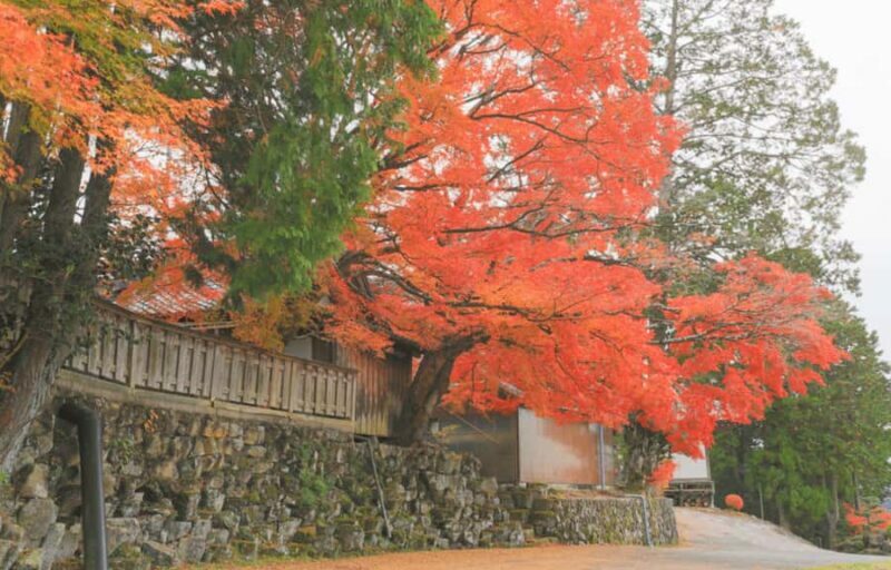 Nagoya: Inuyama Castle, Magome-juku, & Tsumago-juku Tour - Who Is This Tour Best For?