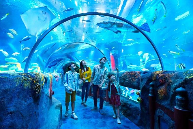 Nagoya LEGOLAND JAPAN Admission Ticket - Key Points