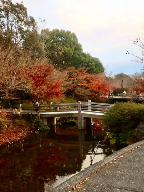Nagoya: Nagashima Outlet Mall & Nabana No Sato Park Trip - Itinerary and Activities
