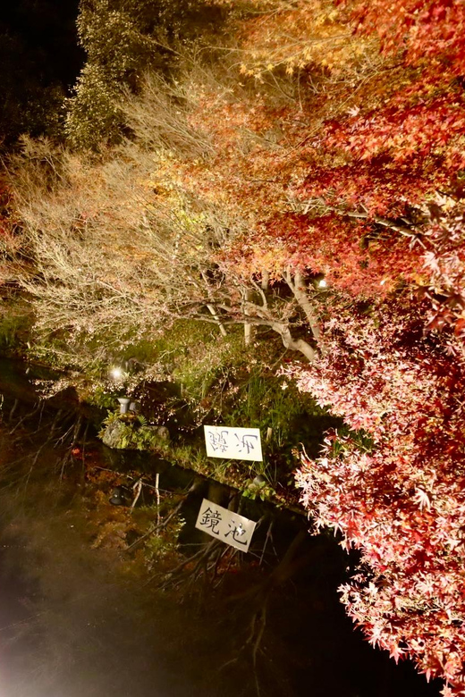 Nagoya: Nagashima Outlet Mall & Nabana No Sato Park Trip - Nabana No Sato Park Highlights