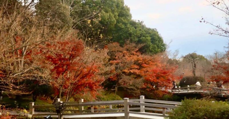 Nagoya: Nagashima Outlet Mall & Nabana No Sato Park Trip - Customer Feedback and Experiences