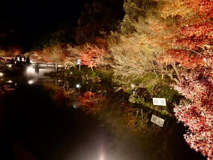 Nagoya: Nagashima Outlet Mall & Nabana No Sato Park Trip - Frequently Asked Questions