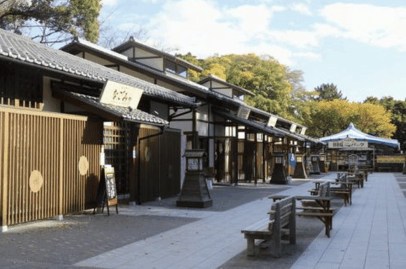 Nagoya Private Custom Tour With Local Guide - Insights From an English-Speaking Local Expert