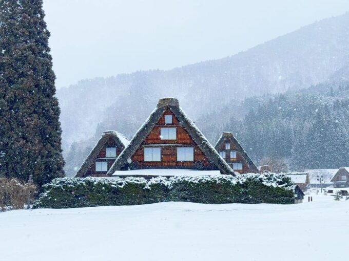 Nagoya: Shirakawa-go, Gujo, Hida Takayama Historic Day Tour - Important Tour Information and Restrictions