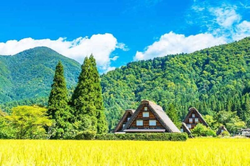 Nagoya Shirakawa-go Village and Takayama One Day Trip - Exploring Shirakawa-go