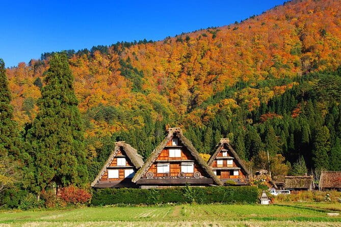 Nagoya to Hida Takayama, Shirakawa-go Gassho Village Day Tour - Meeting Information