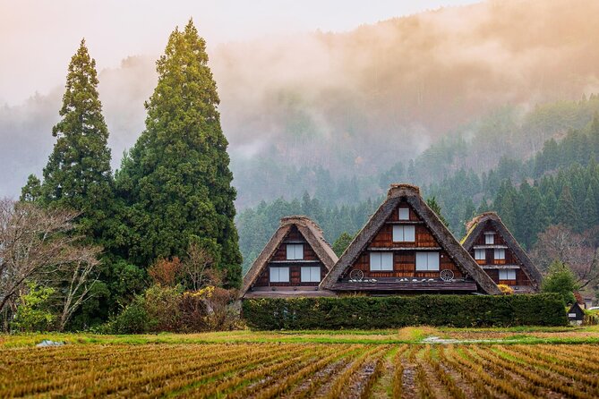 Nagoya to Takayama & Shirakawa World Heritage English Guide - Takeaways From Reviews