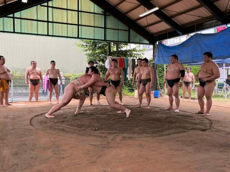 Nagoya: Visit Sumo Morning Practice with English Guide - Introduction