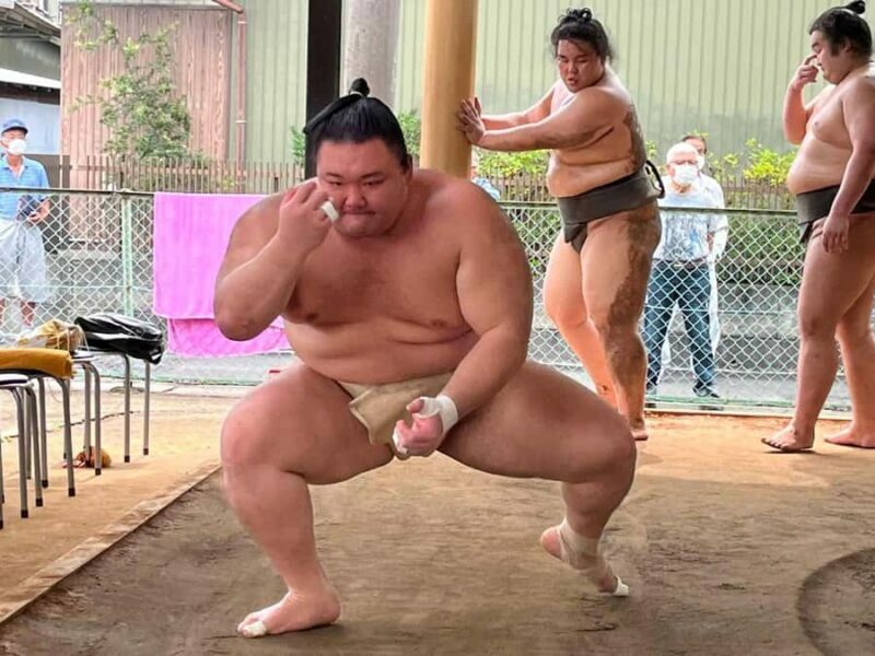 Nagoya: Visit Sumo Morning Practice with English Guide - The Logistics: Accessibility, Duration, and Value