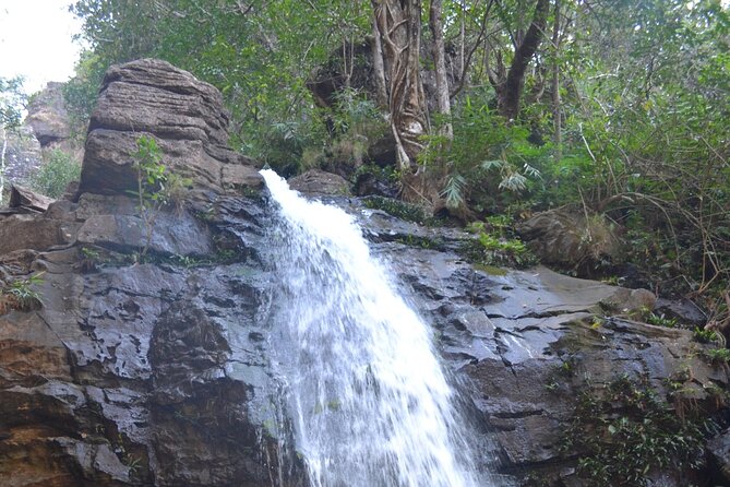 Nagpur to Pench, Satpura & Kanha National Park, Tiger Safari Tour - Exclusions