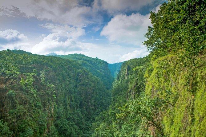 Nagpur to Pench, Satpura & Kanha National Park, Tiger Safari Tour - Exploring Nagpur