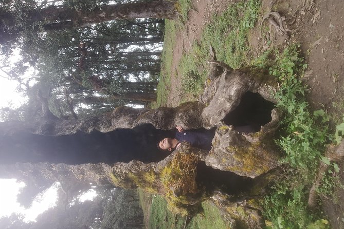 Nagtibba Trek (Pantwari to Pantwari) - Preparing for the Trek