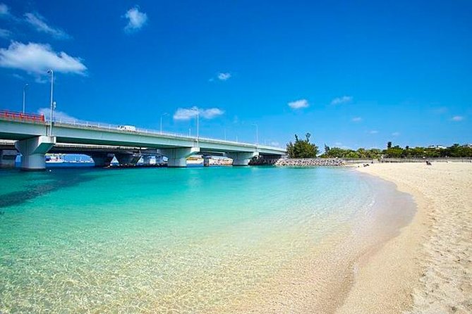 Naha 6hr Private Tour With Government Licensed Guide - Customizable Tour Options