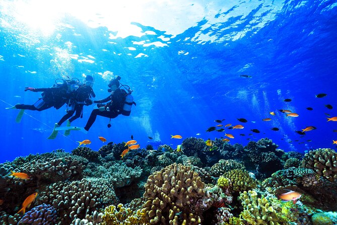 Naha: Full-Day Introductory Diving & Snorkeling in the Kerama Islands, Okinawa - Cancellation and Refund Policy