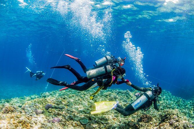Naha: Full-Day Introductory Diving & Snorkeling in the Kerama Islands, Okinawa - Scuba Diving and Snorkeling Equipment