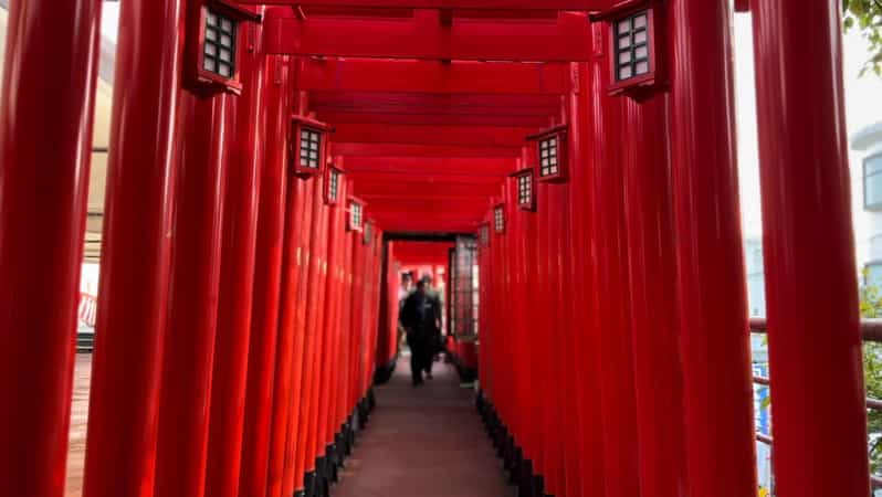 Naha: Guided E-Bike Tour of the 12 Zodiac Temples - E-Bike Rental and Equipment