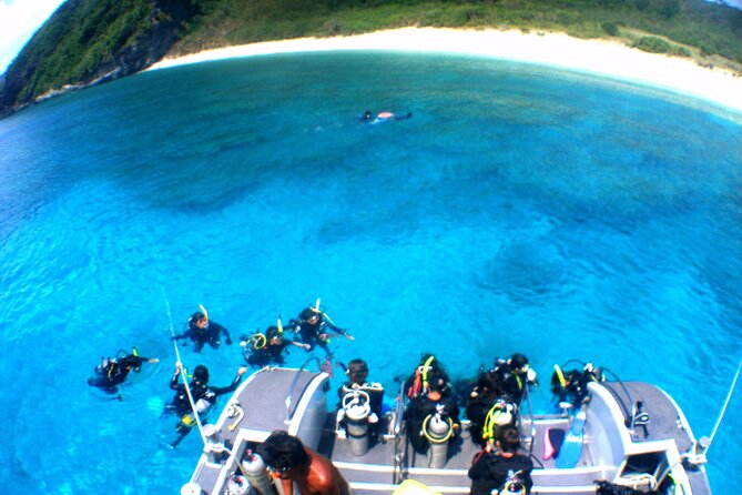 Naha: Kerama Islands Snorkeling Tour/Limited Time Whale Watching - Key Points