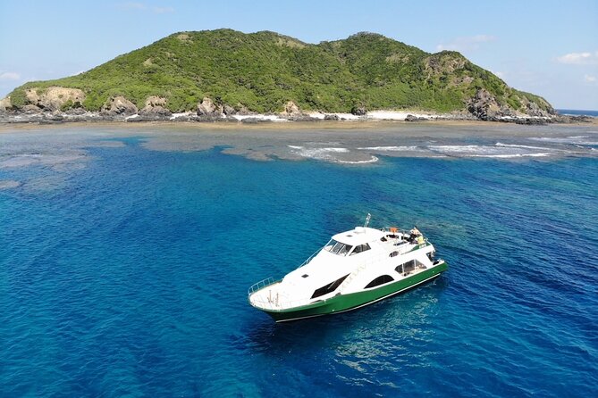 Naha: Kerama Islands Snorkeling Tour/Limited Time Whale Watching - Optional Lunch and Refreshments