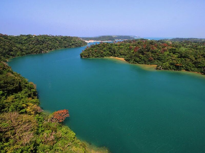 Naha: North Okinawa Sightseeing Tour & Churaumi Aquarium - Included Features