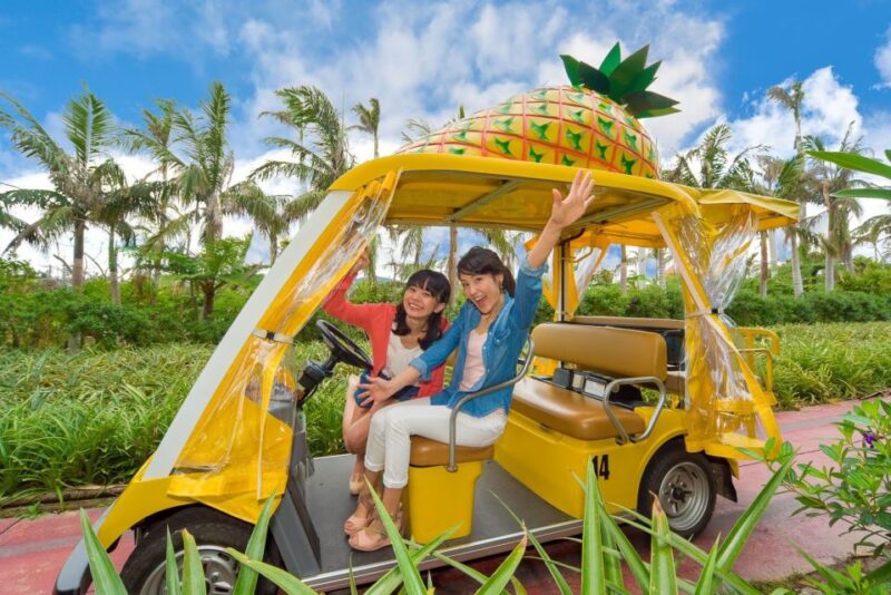 Naha: North Okinawa Sightseeing Tour & Churaumi Aquarium - Exclusions