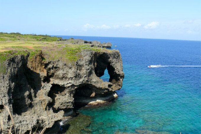 Naha: North Okinawa Sightseeing Tour & Churaumi Aquarium - Nago Pineapple Park