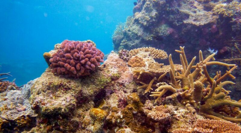 Naha, Okinawa: Kerama Islands Full-Day Intro-Diving Trip - Final Thoughts