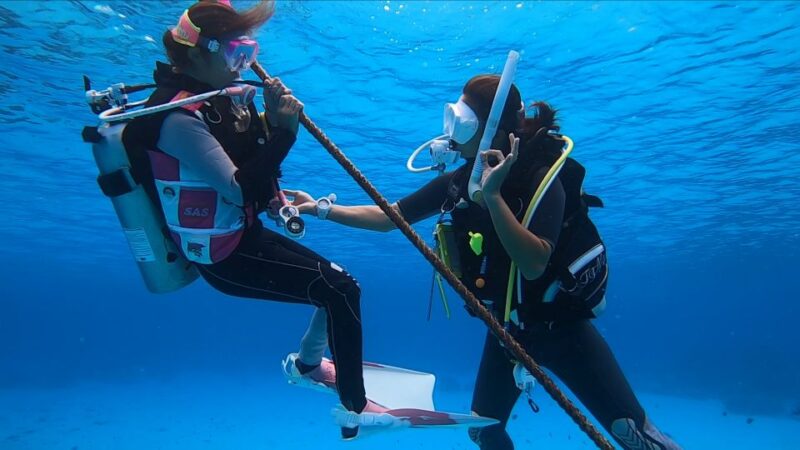 Naha, Okinawa: Kerama Islands Full-Day Intro-Diving Trip - Crystal-Clear Underwater Exploration