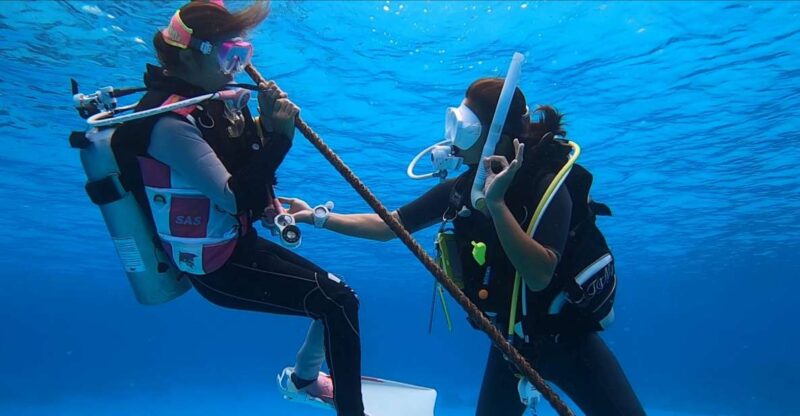 Naha, Okinawa: Kerama Islands Full-Day Intro-Diving Trip - Tropical Marine Life Encounters