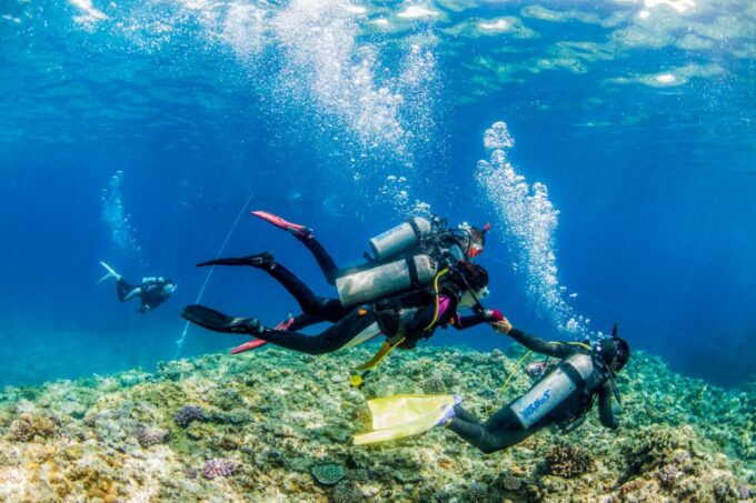 Naha, Okinawa: Kerama Islands Full-Day Intro-Diving Trip - Roundtrip Hotel Transfers