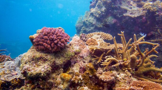 Naha, Okinawa: Kerama Islands Full-Day Intro-Diving Trip - Frequently Asked Questions