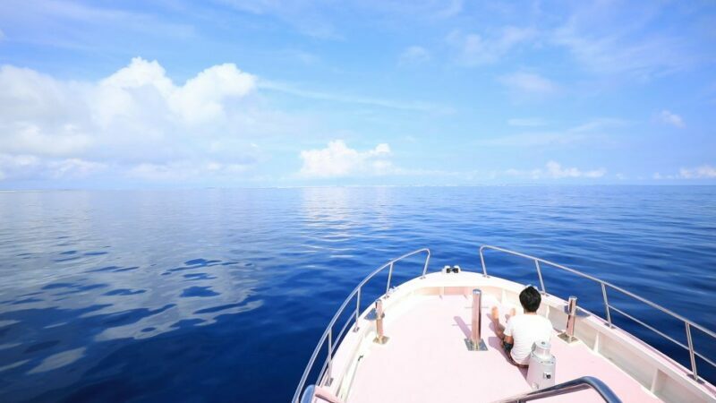 Naha, Okinawa: Kerama Islands Half-Day Whale Watching Tour - The Value of This Tour