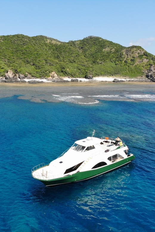 Naha: Snorkeling Kerama Islands/Limited Time Whale Watching - Key Points