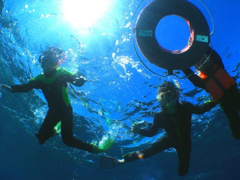 Naha: Snorkeling Kerama Islands/Limited Time Whale Watching - Itinerary and Experience