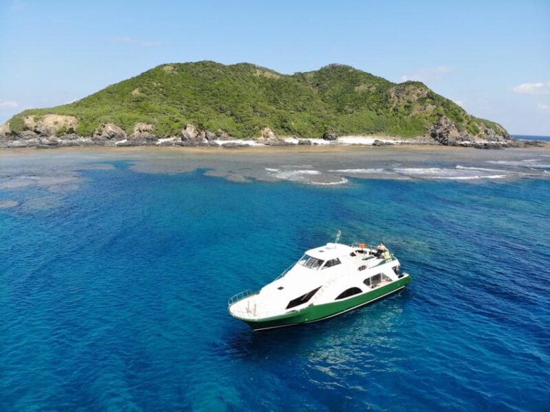 Naha: Snorkeling Kerama Islands/Limited Time Whale Watching - Equipment and Amenities