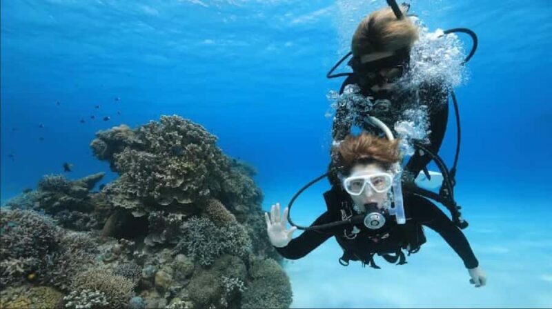 Naha: Tokashiki Day Trip & Kerama Islands Scuba Diving Trip - An In-Depth Look at the Experience