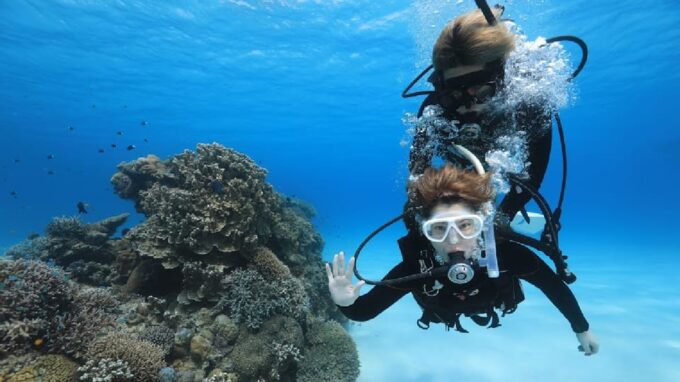 Naha: Tokashiki Day Trip & Kerama Islands Scuba Diving Trip - Kerama Islands Scuba Diving Fees and Taxes