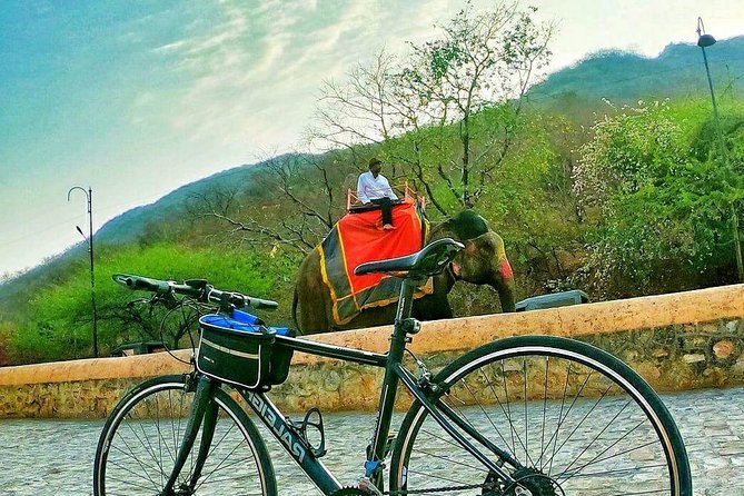 Nahargarh Cycle Tour in Jaipur - Highlights and Experiences
