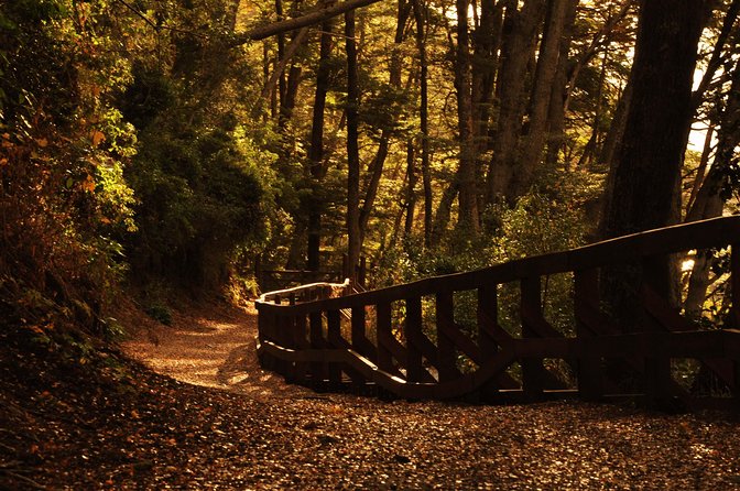 Nahuel Huapi Lake Cruise With Victoria Island and Arrayan Forest Walk - Arrayan Forest Walk