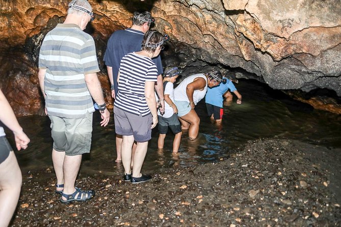 Naihehe Cave Safari in Sigatoka With BBQ Lunch - Meeting and Pickup
