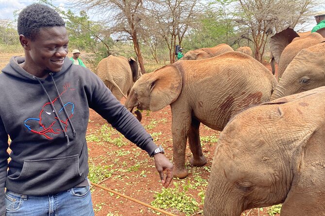 Nairobi City Guided Walking Tour - Inclusions and Exclusions