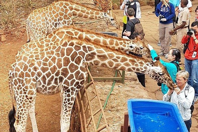 Nairobi Highlights: Karen Blixen, Beads Factory & Giraffe Center Day Tour - Karen Blixens Legacy