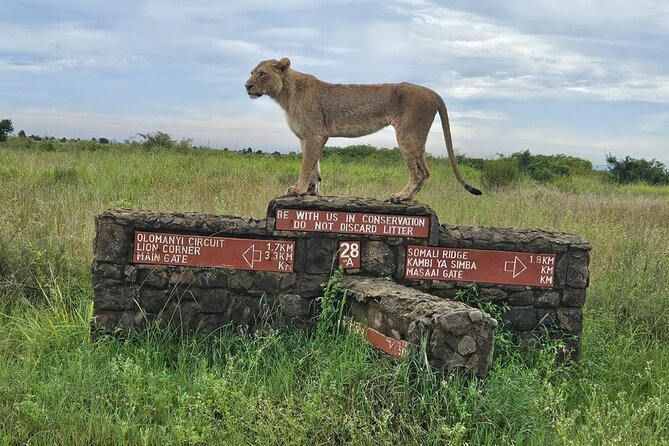 Nairobi Nat Park,Sheldrick Elephant Giraffe Centre&Karen Blixen - Key Wildlife Attractions
