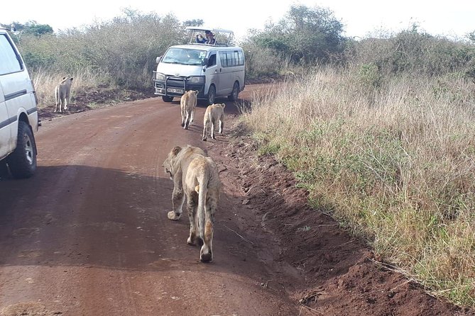 Nairobi Nat Park,Sheldrick Elephant Giraffe Centre&Karen Blixen - Nairobi National Park